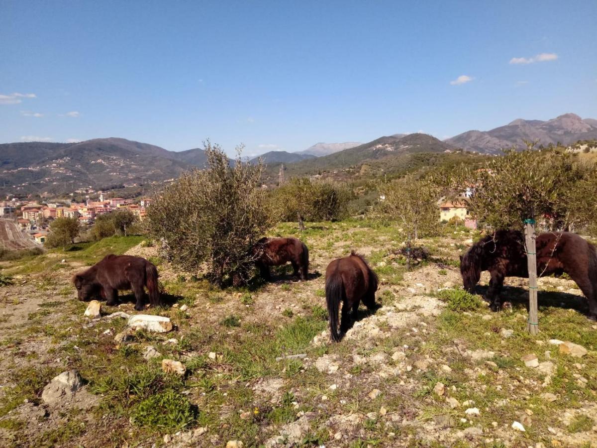 Appartamento Taggiasca A Riva Trigoso Sestri Levante Eksteriør bilde